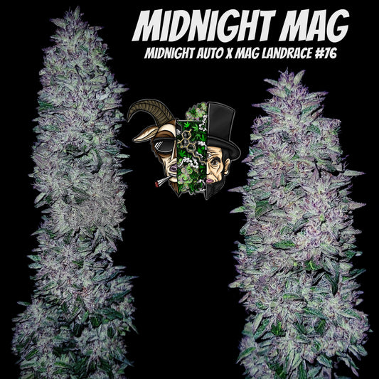 Midnight Mag